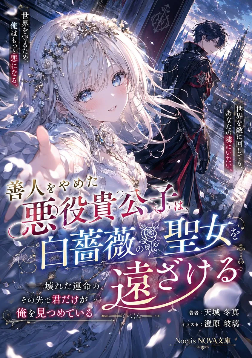 Minh họa bìa light novel anime