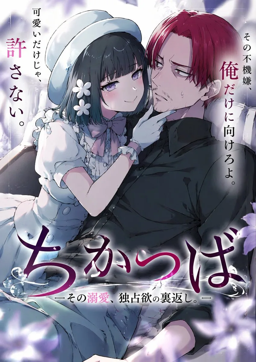 Minh họa bìa light novel anime
