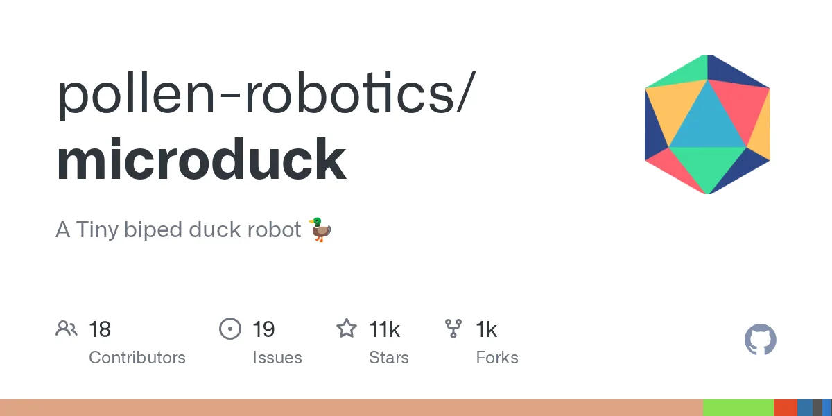 robot vit nhi chan sieu nhe bang rust